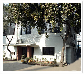 Bull Gears Suppliers