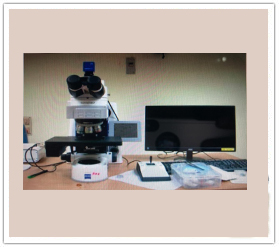 High Quality Pinion Gears Manufacturers